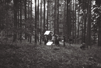 ČASOTRESK: Snemanje v gozdu - 